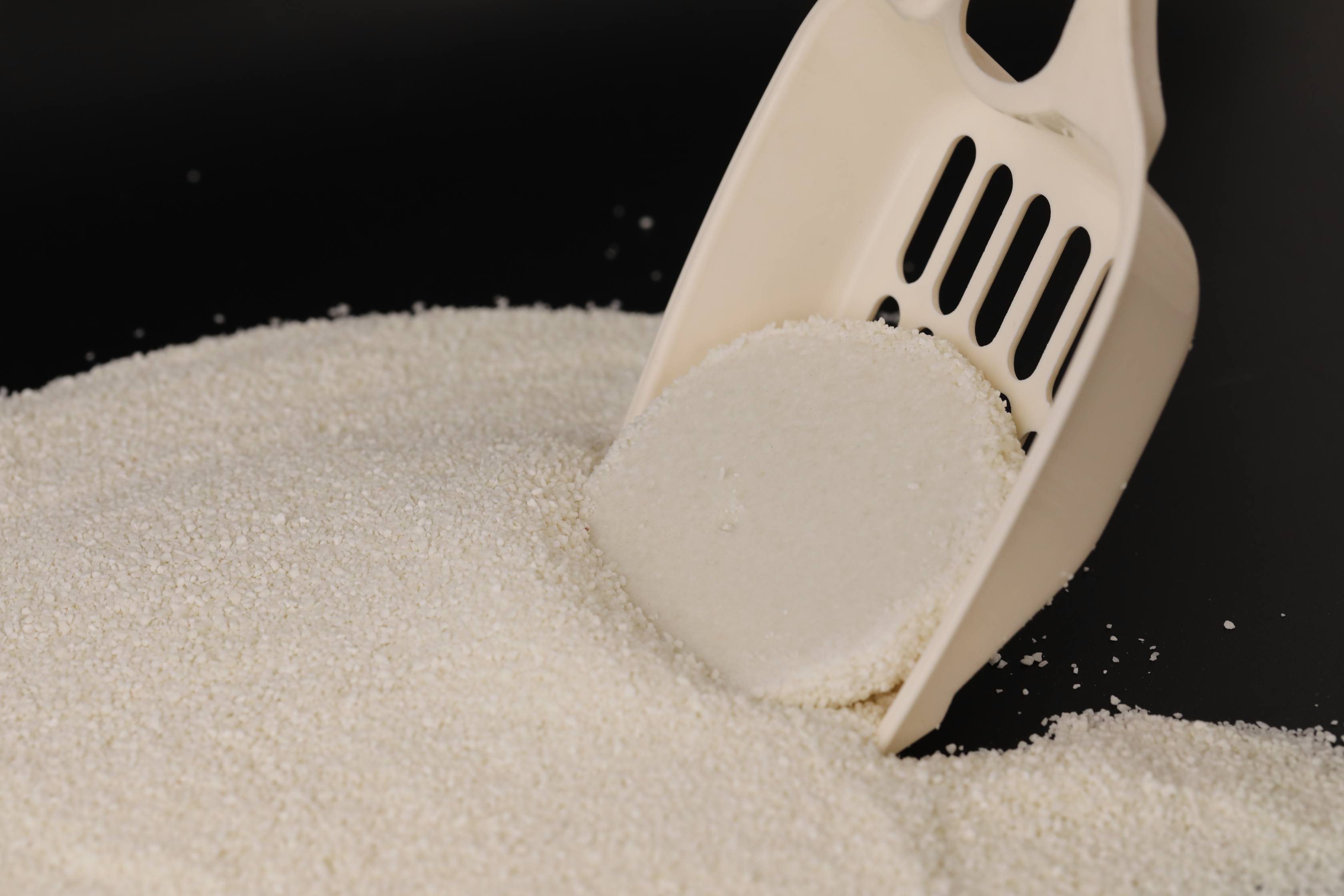 What Is Cassava Cat Litter? Benefits, Uses and How It Works