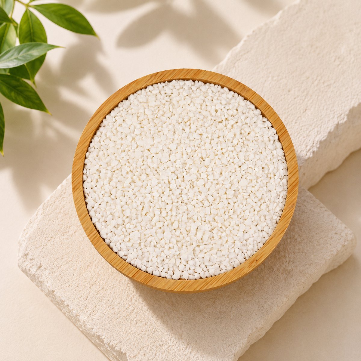 The Complete Glossary of Plant-Based Cat Litter Terms
